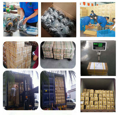 Roulettes pivotantes universelles industrielles de 125 mm – Noyau en fonte PU avec support zingué doré